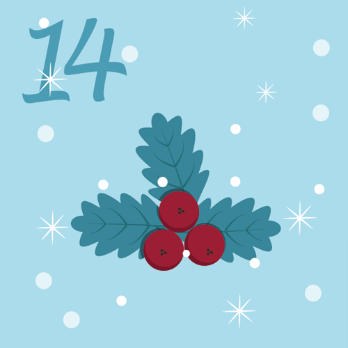 door-Dag 14
