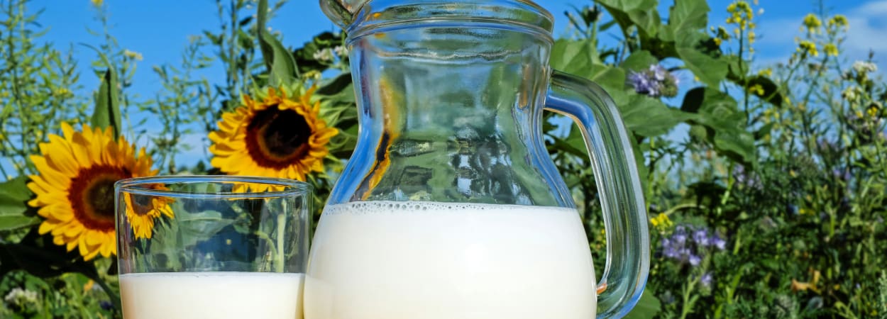 Mælk, mælkeglas, mælkekande